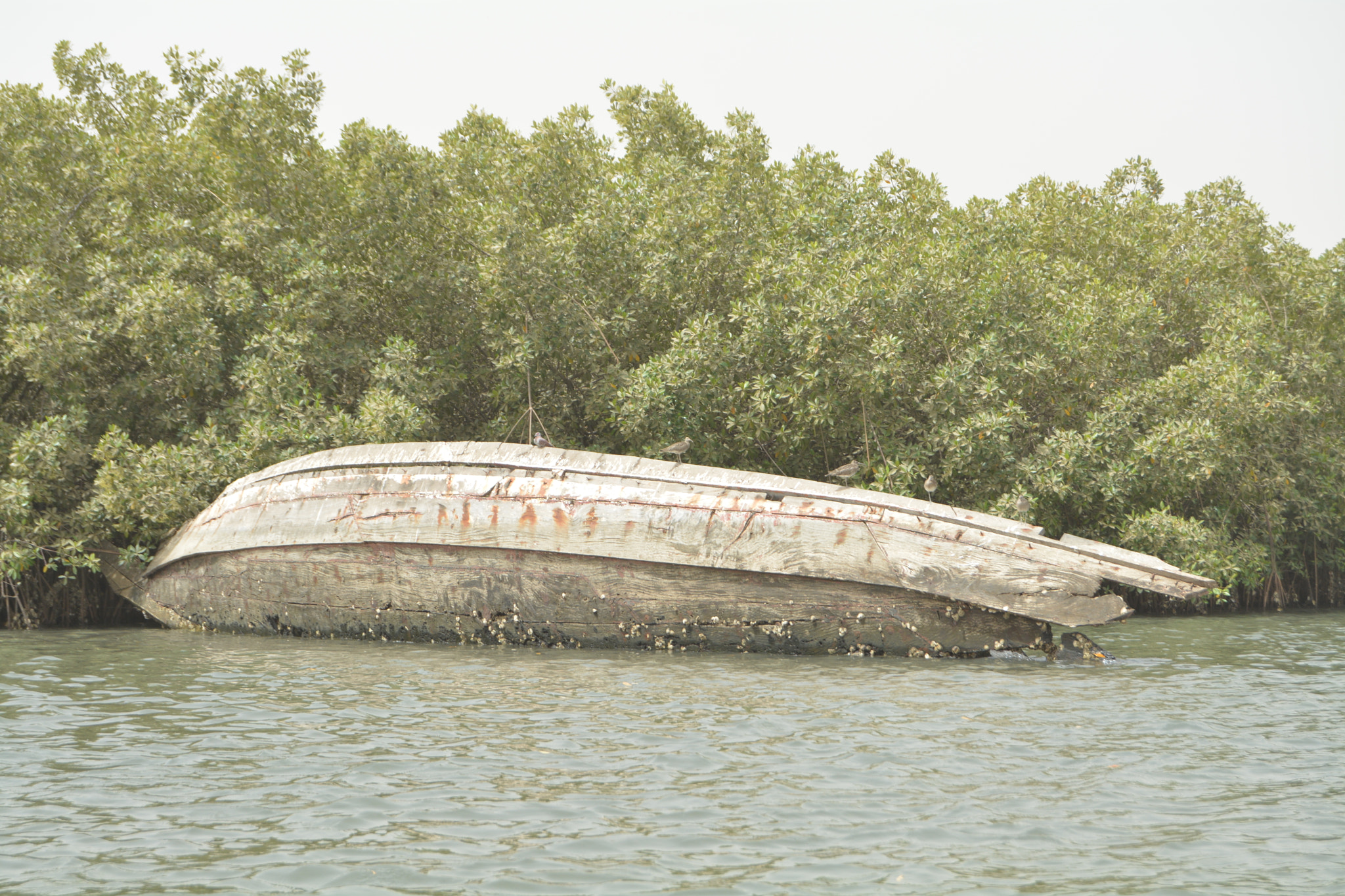 Nikon D5200 sample photo. Gambian titanic photography