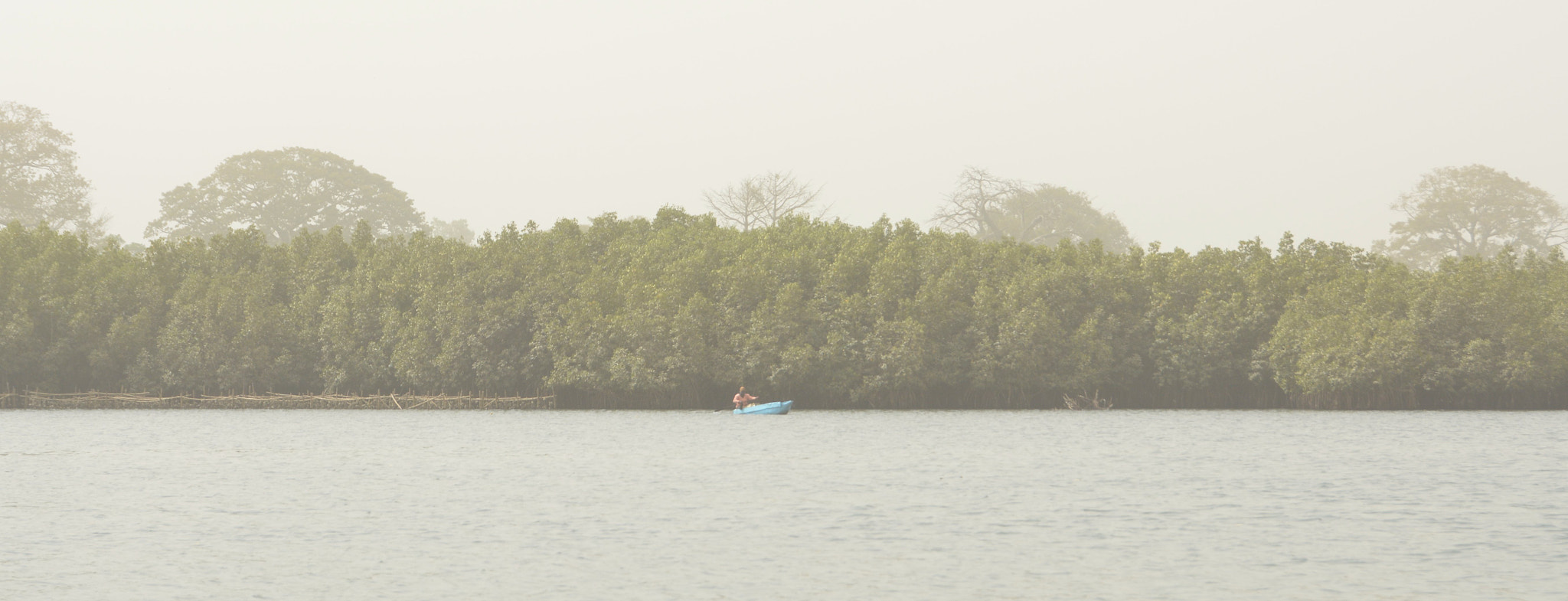 Nikon D5200 sample photo. Shell collector photography