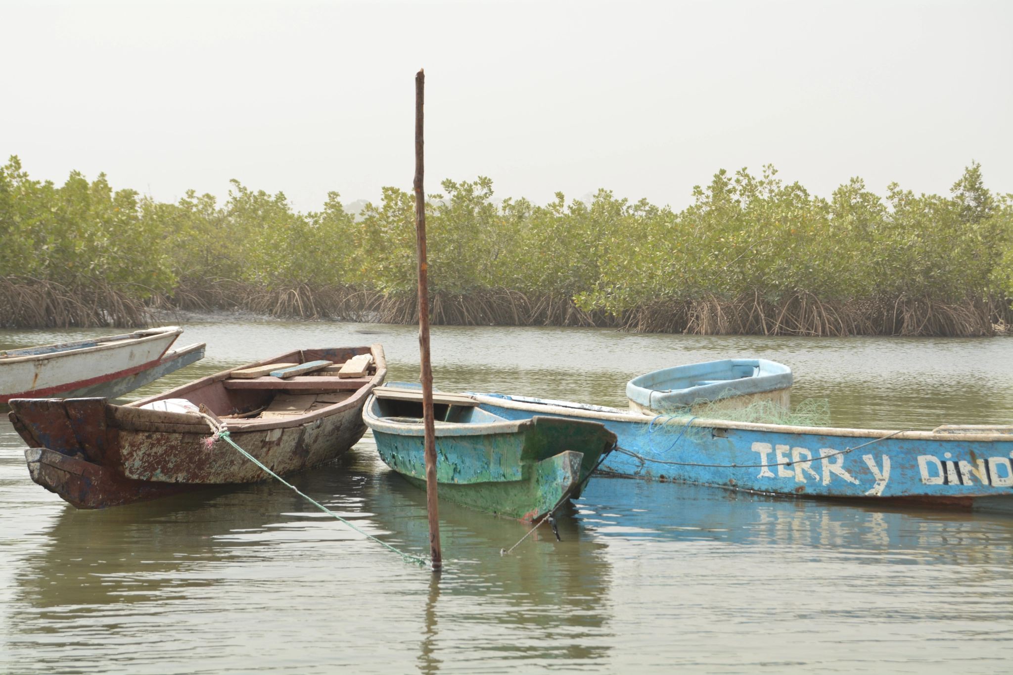 Nikon D5200 sample photo. River gambia photography