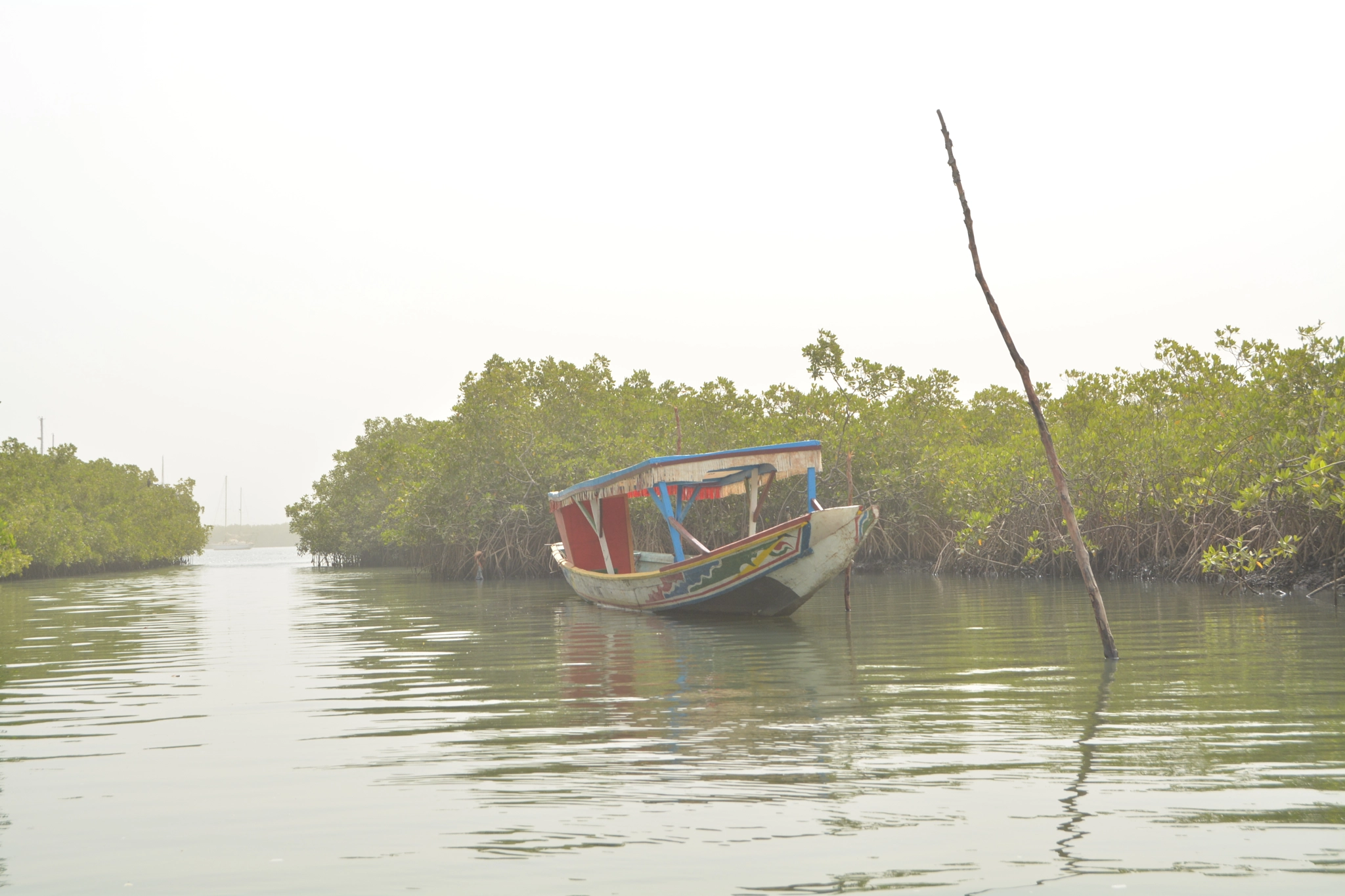 Nikon D5200 + Nikon AF-S DX Nikkor 18-55mm F3.5-5.6G II sample photo. River gambia photography