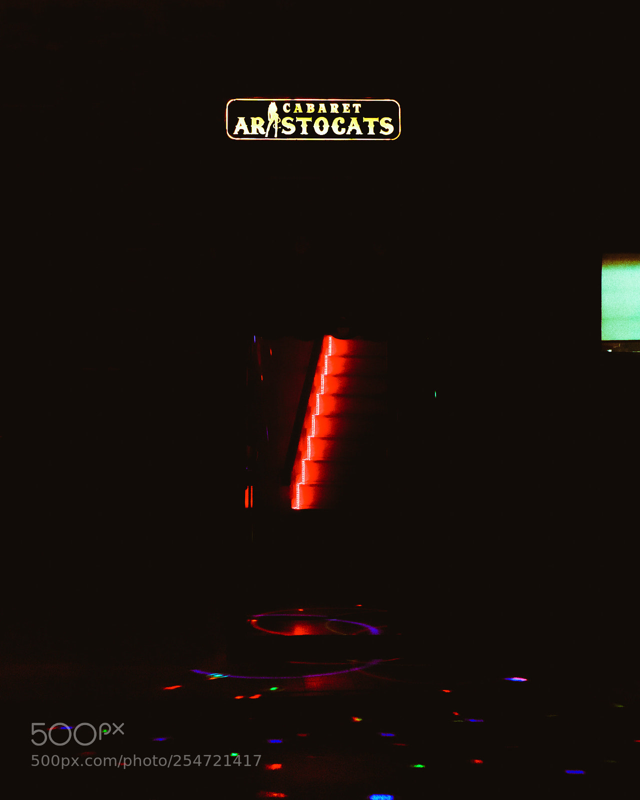 Sony a6000 sample photo. Aristocats photography
