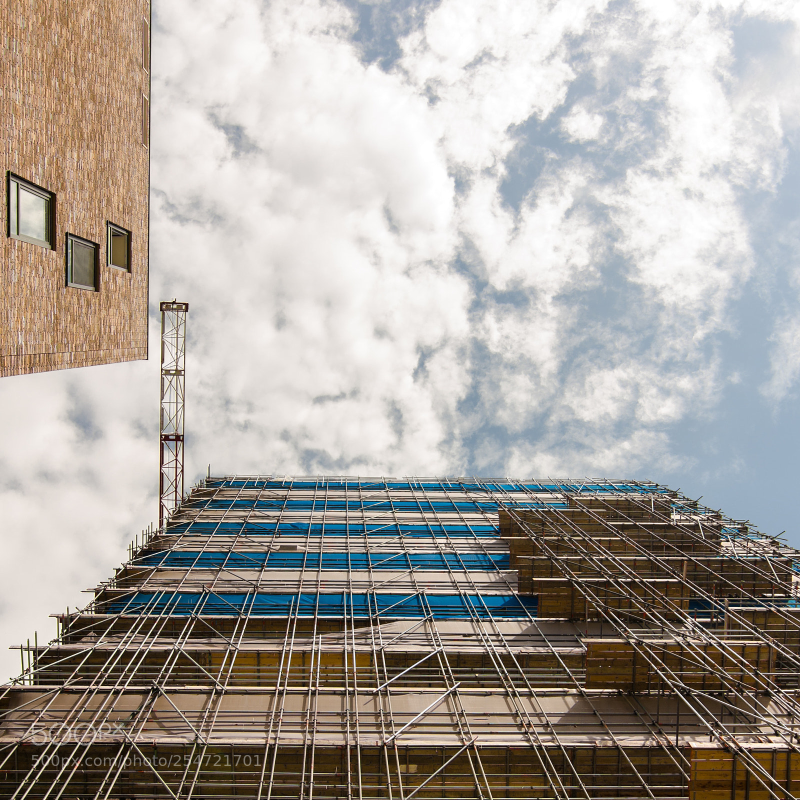 Nikon D7000 sample photo. Reaching for the skies photography