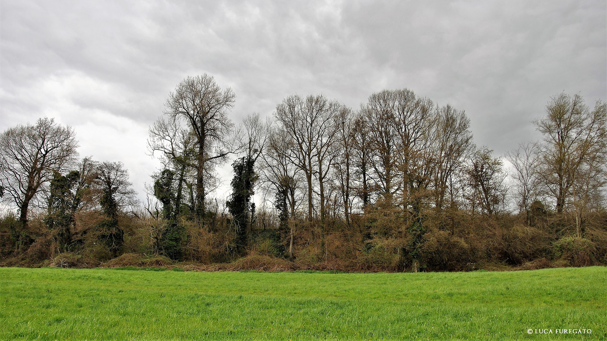 Nikon D3000 sample photo. Trails, cultivated fields ... and woods photography