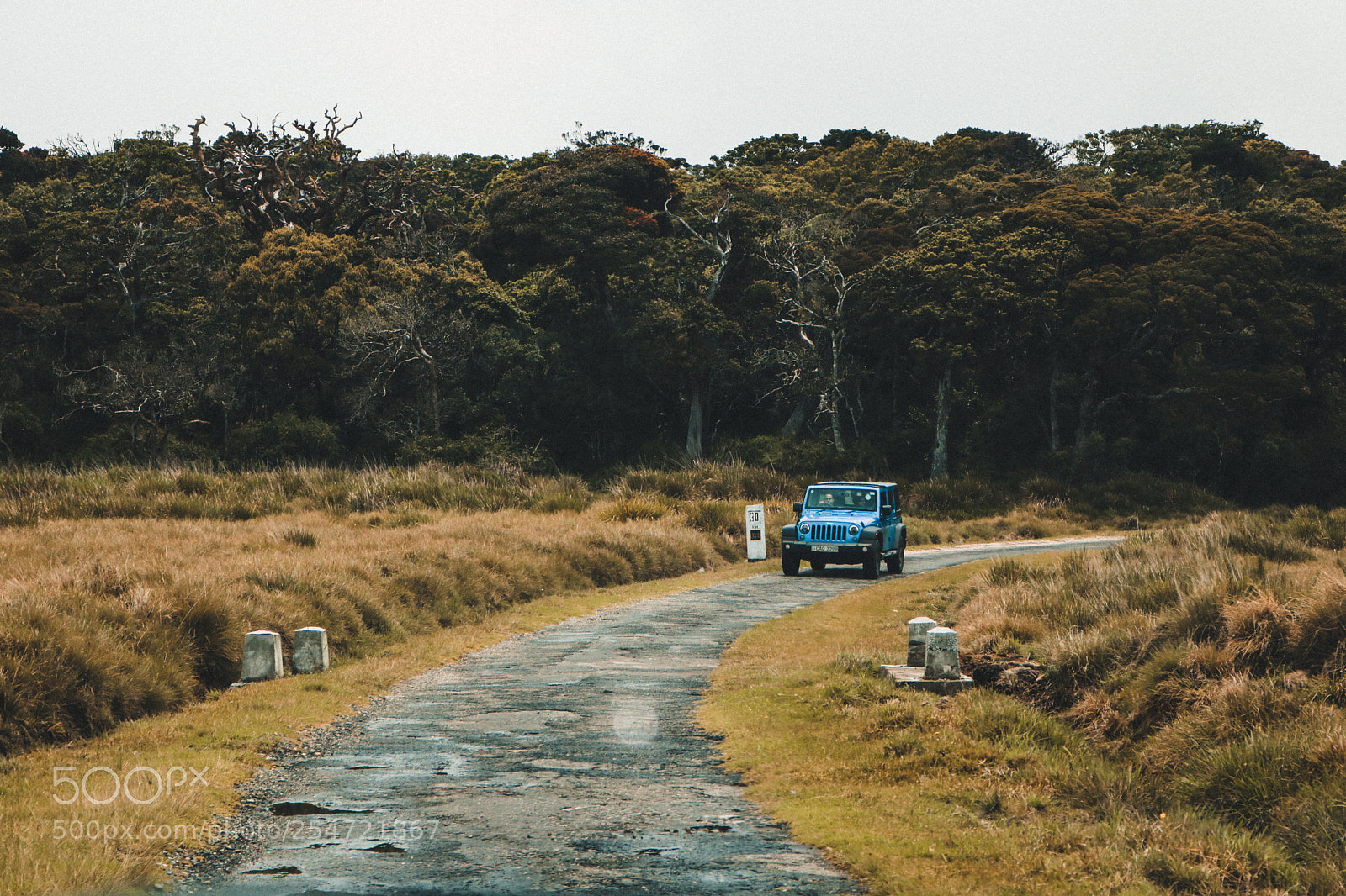 Canon EOS 750D (EOS Rebel T6i / EOS Kiss X8i) sample photo. Beast coming through photography