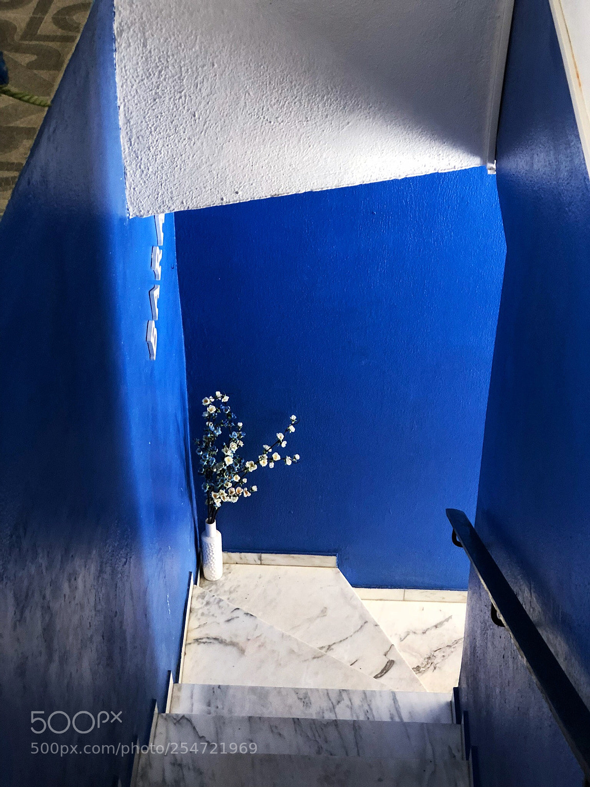 Apple iPhone 8 Plus sample photo. Blue & white photography