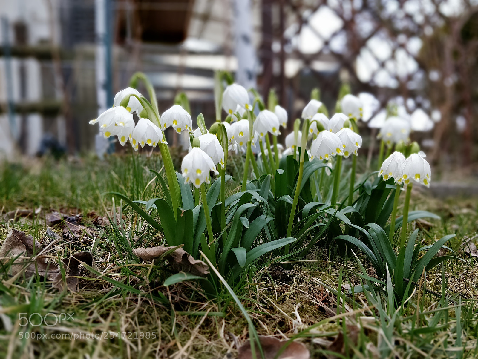 OnePlus 5T sample photo. Img_20180331_174634.jpg photography