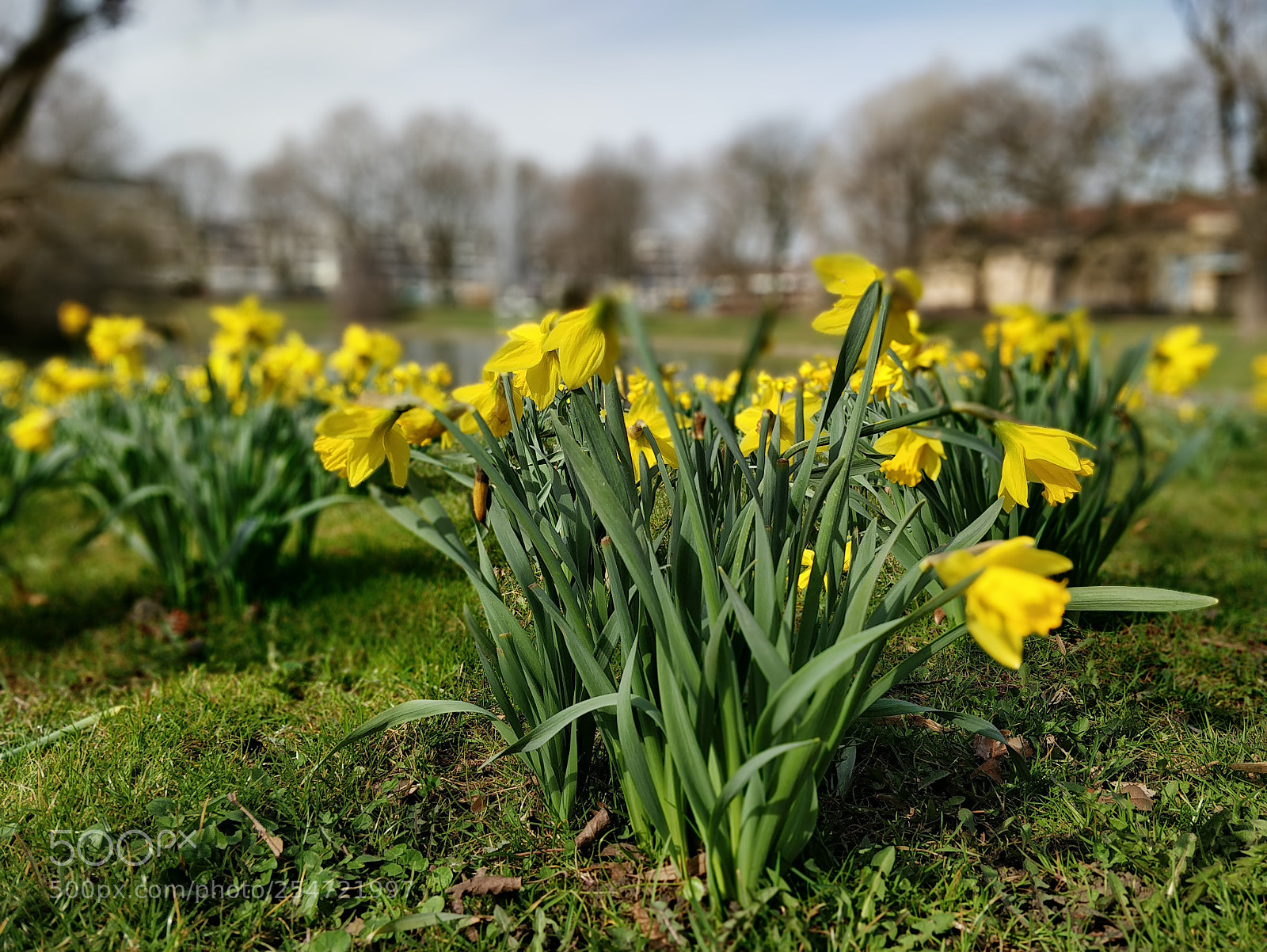 OnePlus 5T sample photo. Img_20180404_104439.jpg photography