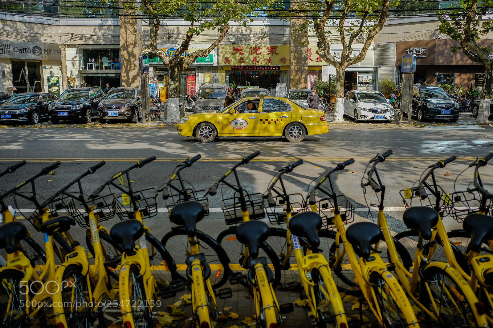 Fujifilm X-Pro2 sample photo. Yellow invasion photography