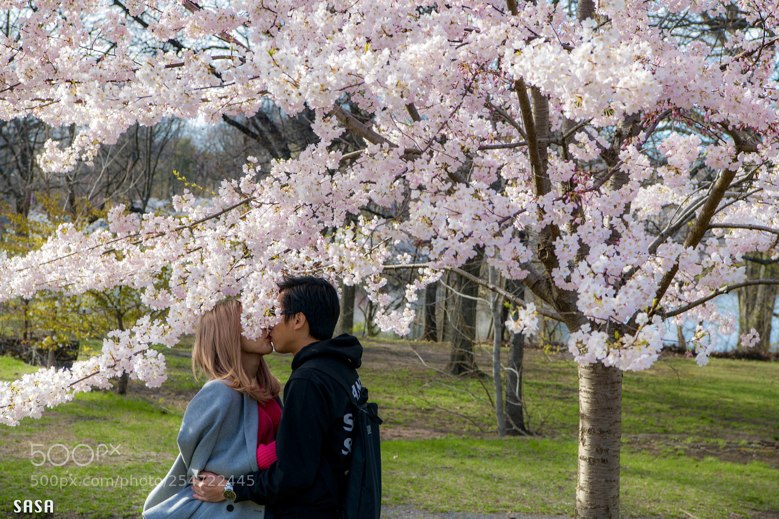 Nikon D850 sample photo. Under the cherry tree
樱花树下 photography