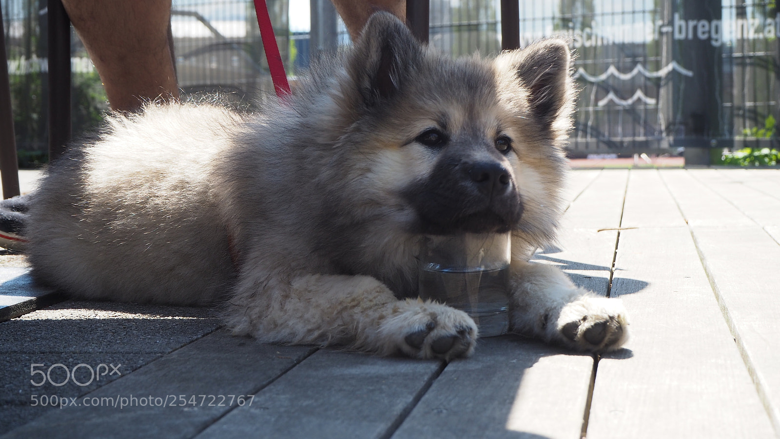 Olympus OM-D E-M10 II sample photo. Merida photography
