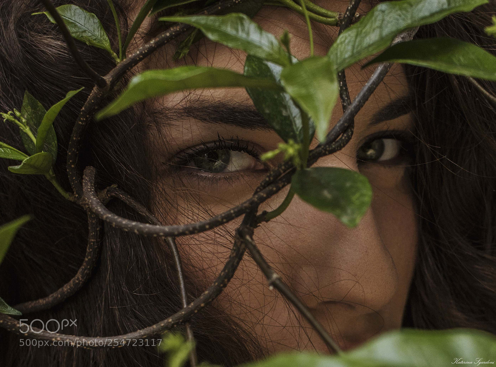 Canon EOS 7D Mark II sample photo. Untitled photography