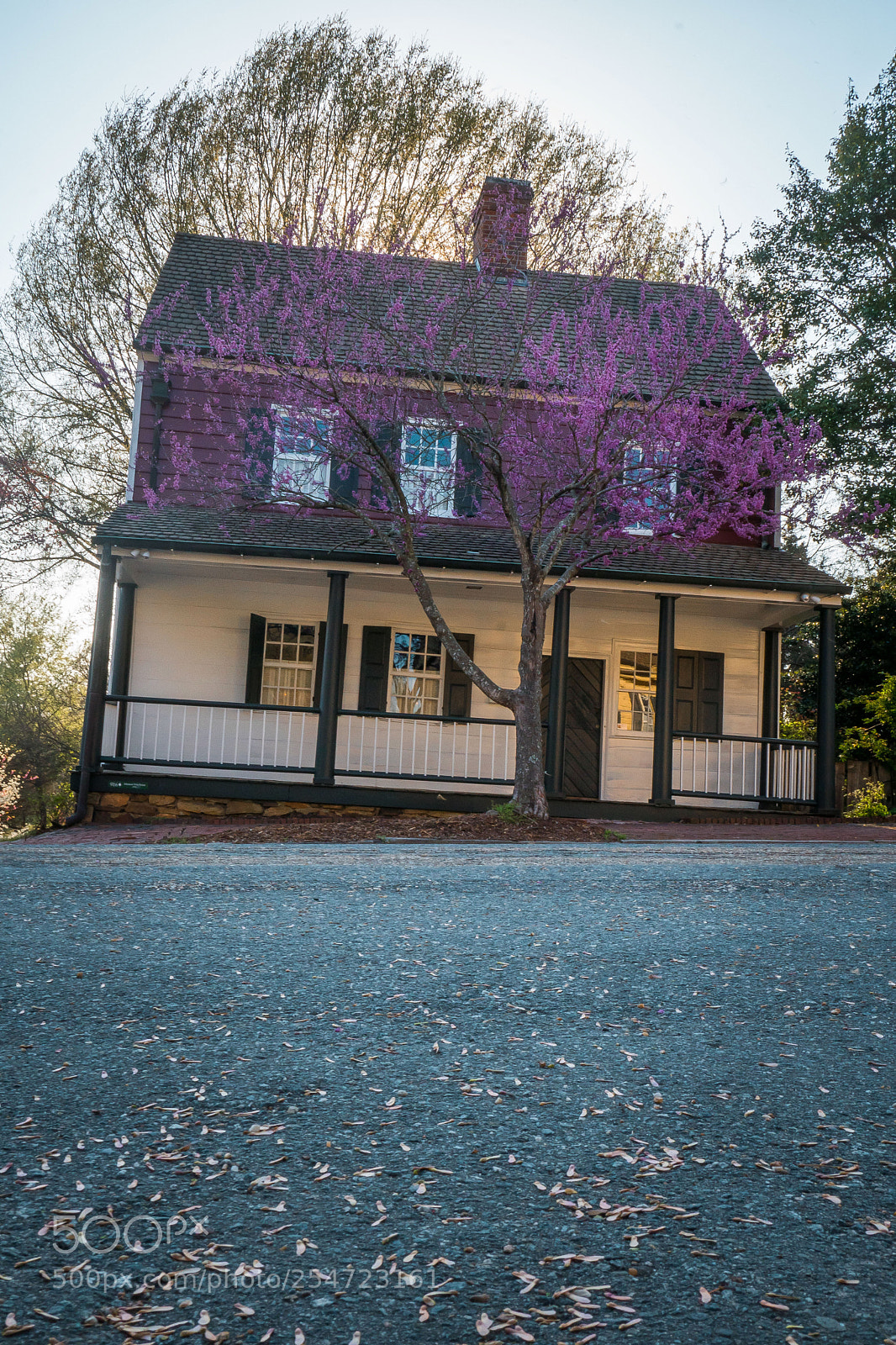 Sony a6500 sample photo. There's something wrong photography