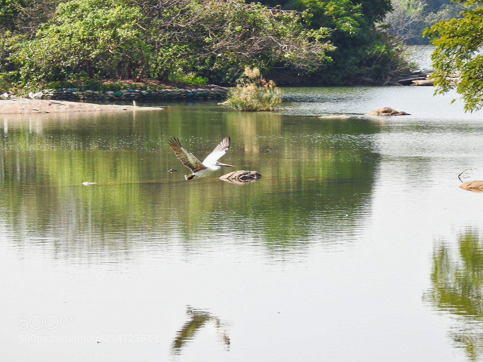 Nikon Coolpix P900 sample photo. Scenery photography