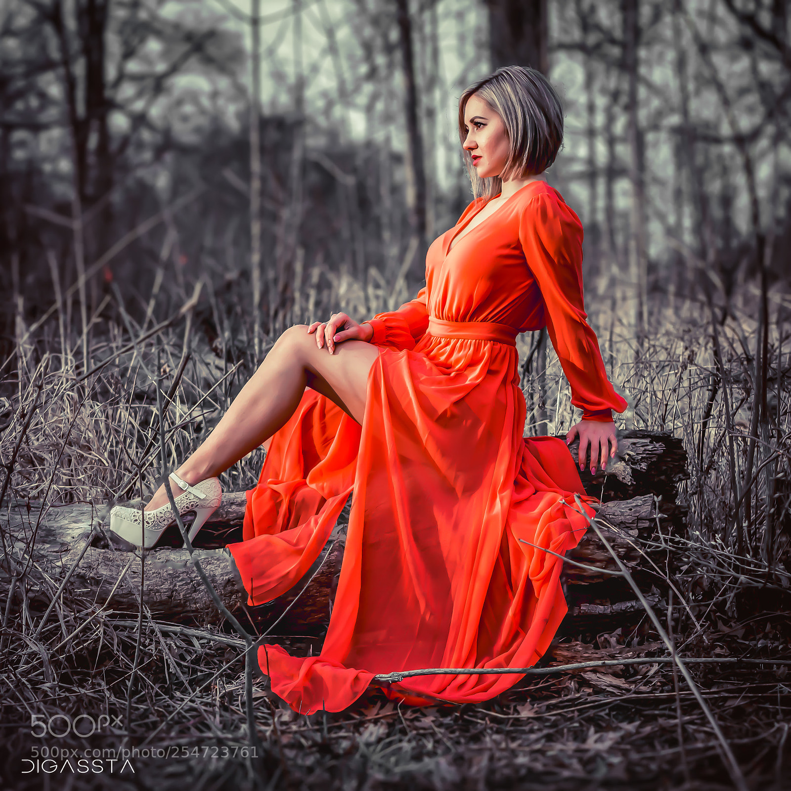 Panasonic Lumix DC-GH5 sample photo. Red dress photography