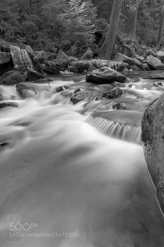 Nikon D850 sample photo. River of live.. photography