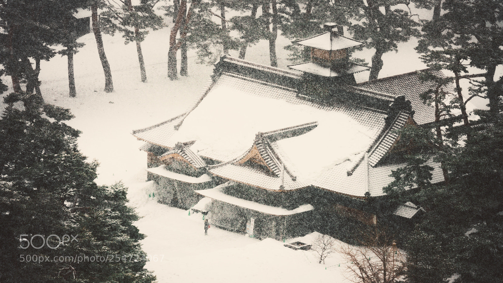 Sony a7R III sample photo. 五棱郭 photography
