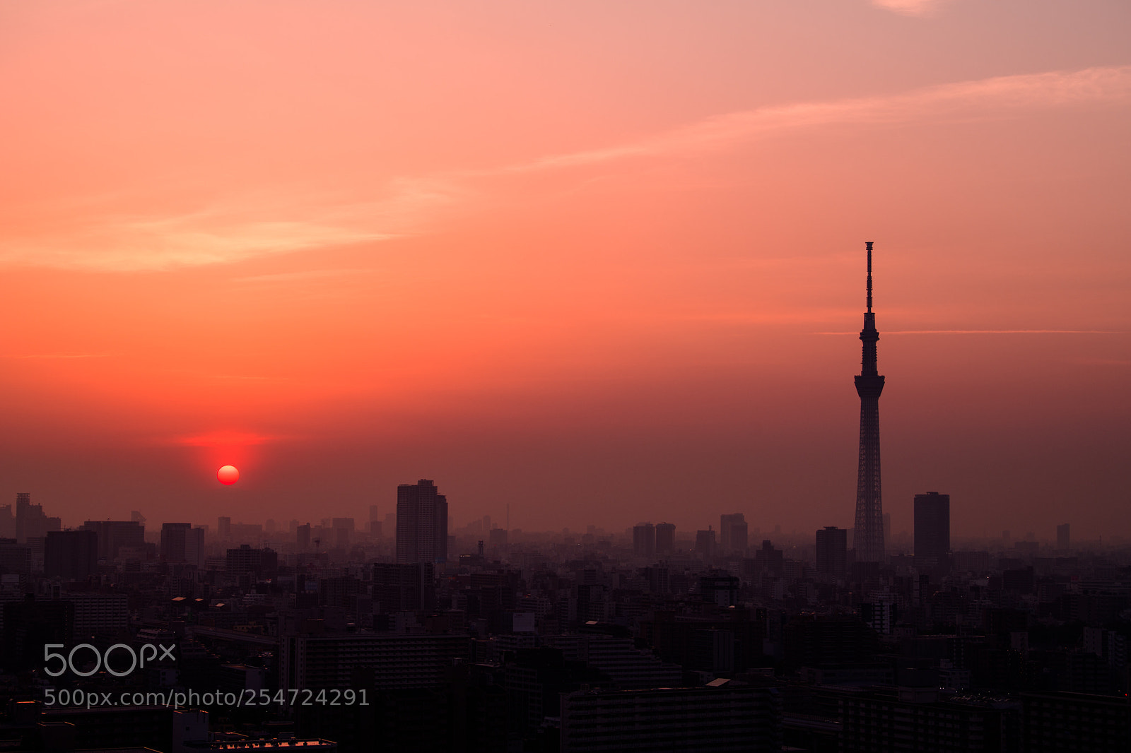 Nikon D850 sample photo. Tokyoskytree photography