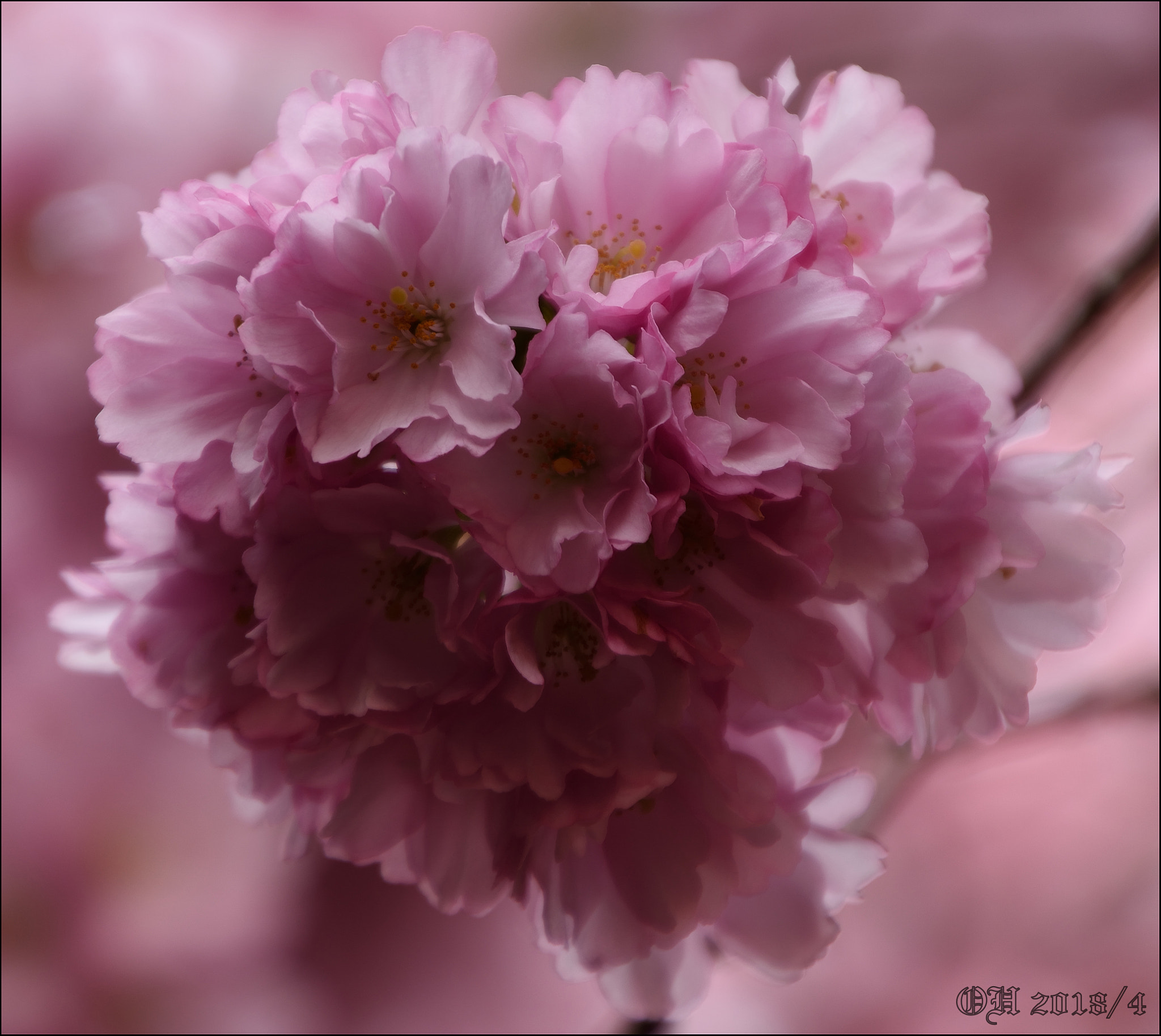 Nikon D5500 sample photo. Iso 100 - f/6.3 - 1/40 sec photography