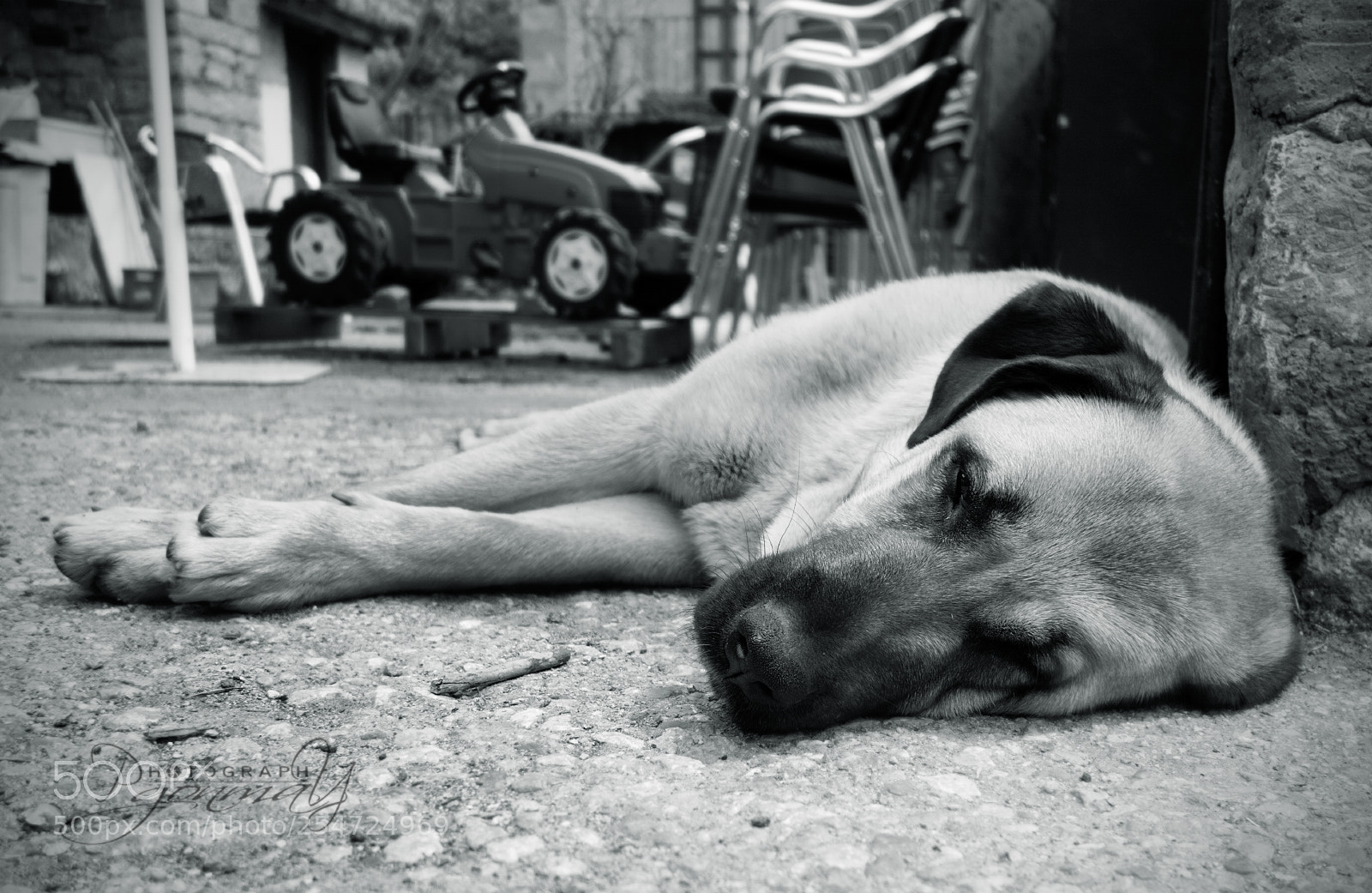 Sony Cyber-shot DSC-RX100 sample photo. Stress photography