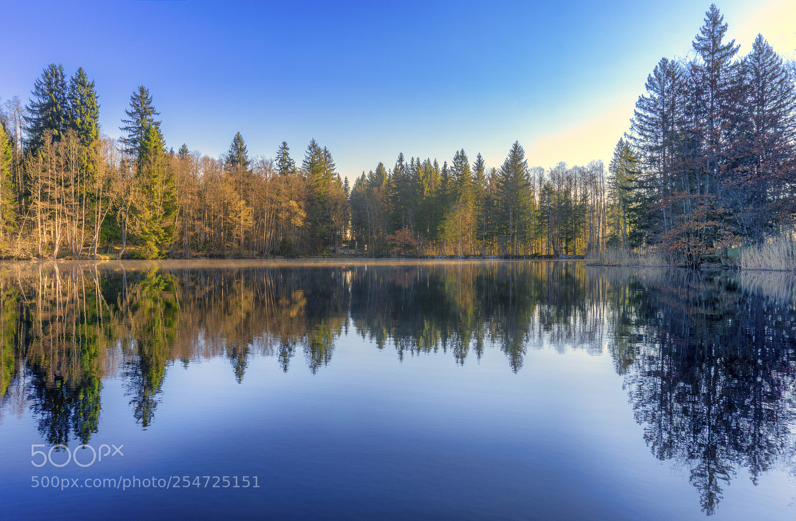 Sony a6000 sample photo. Early morning reflection photography