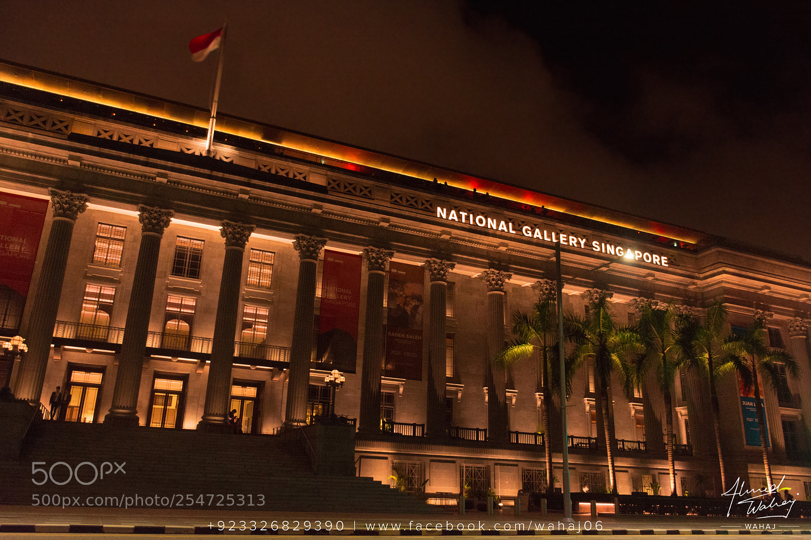 Nikon D7100 sample photo. National gallery singapore photography