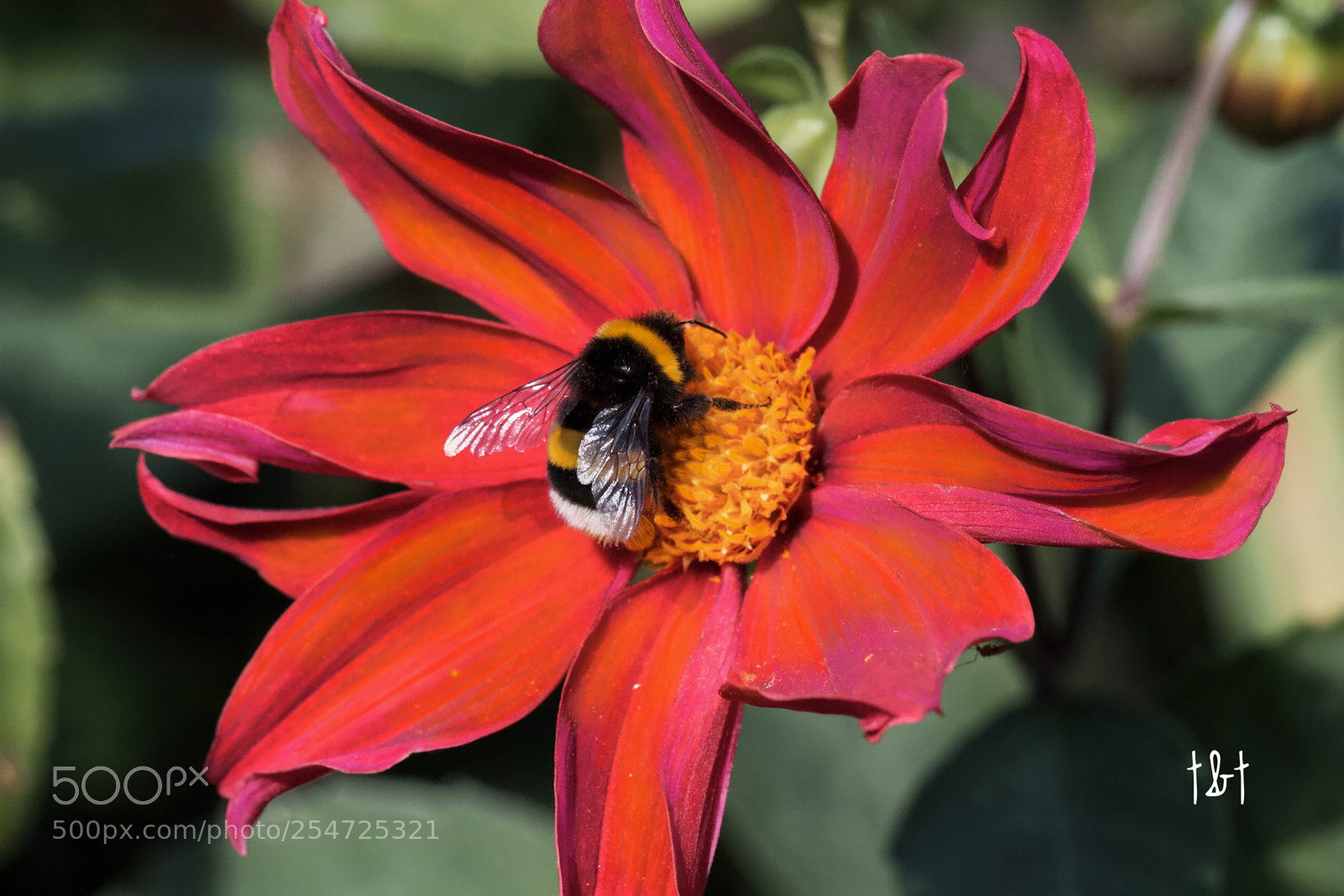 Canon EOS 7D sample photo. Untitled photography