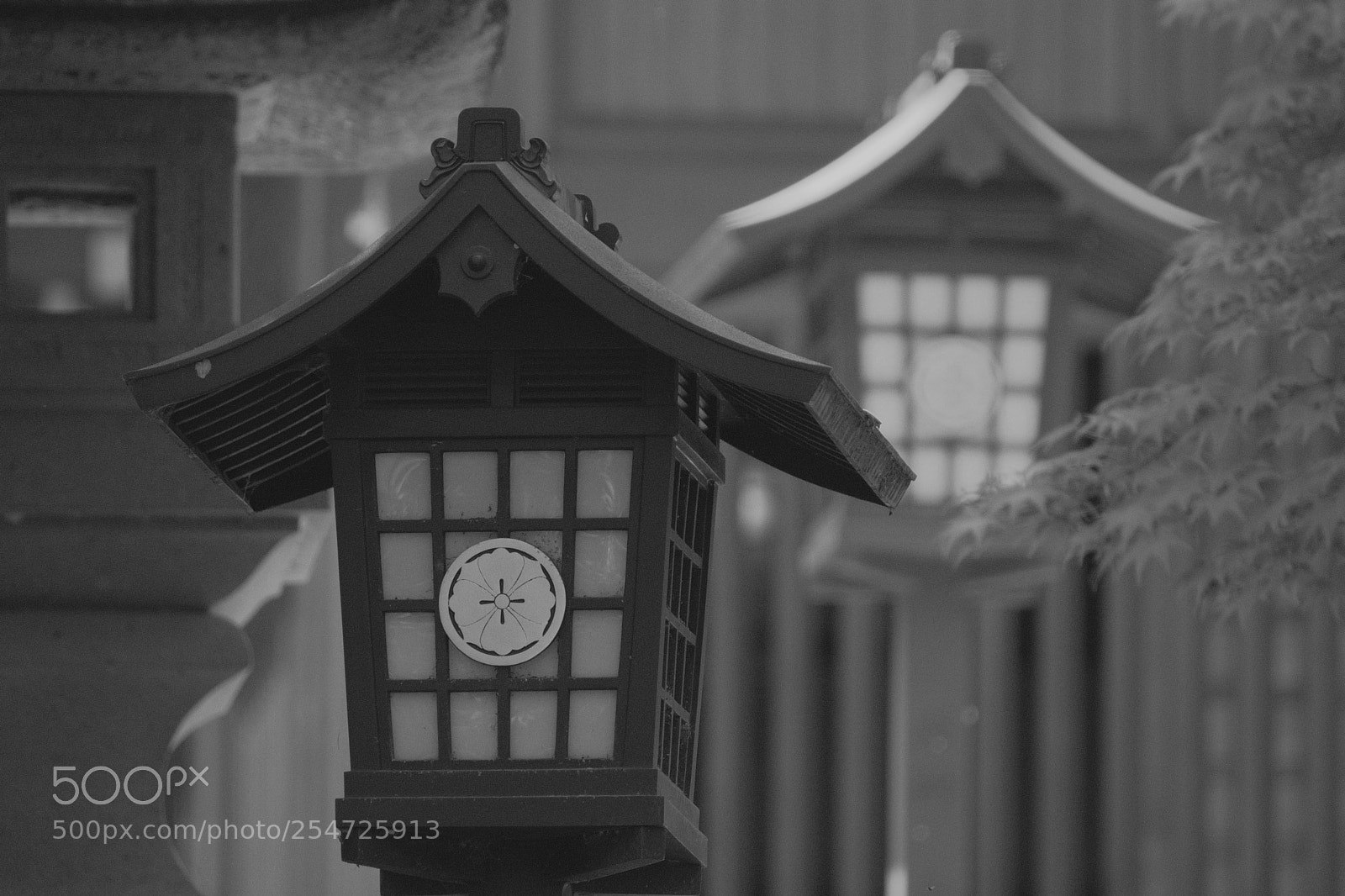 Fujifilm X-T2 sample photo. Dscf photography