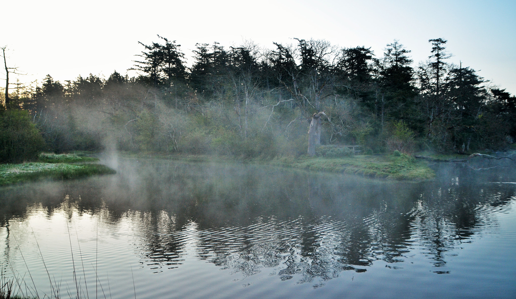 Nikon D7000 + Sigma 17-70mm F2.8-4 DC Macro OS HSM sample photo. Ghostly morning mist photography