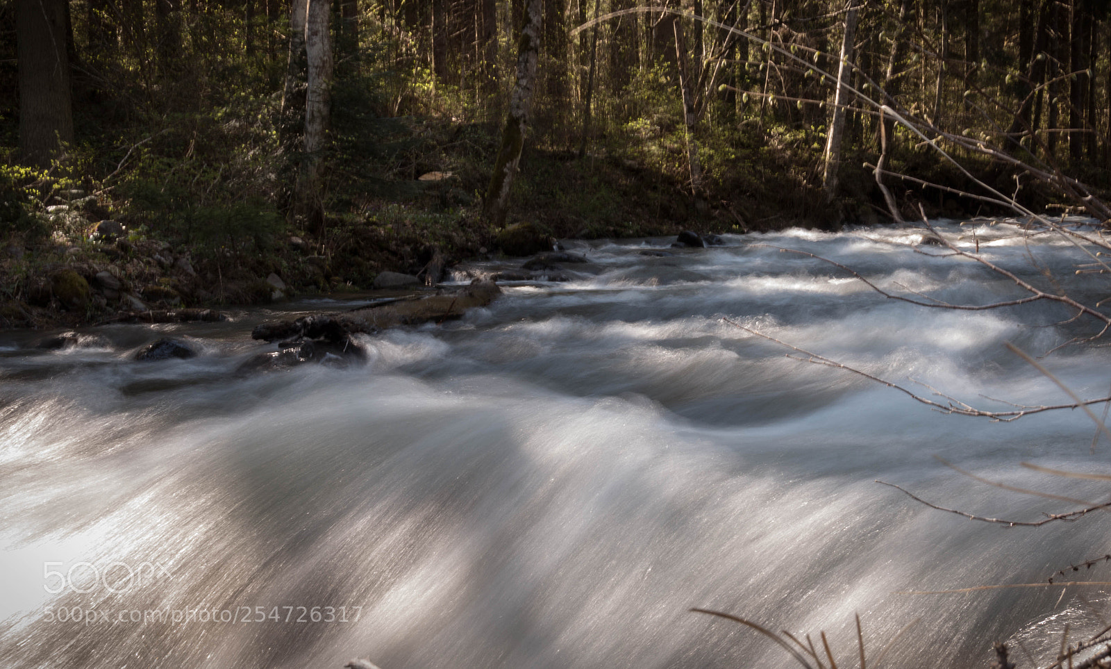 Canon EOS 70D sample photo. #angryriver photography