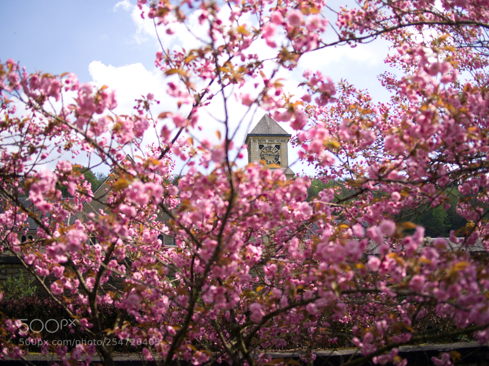Olympus PEN E-PL5 sample photo. Tower at orval photography
