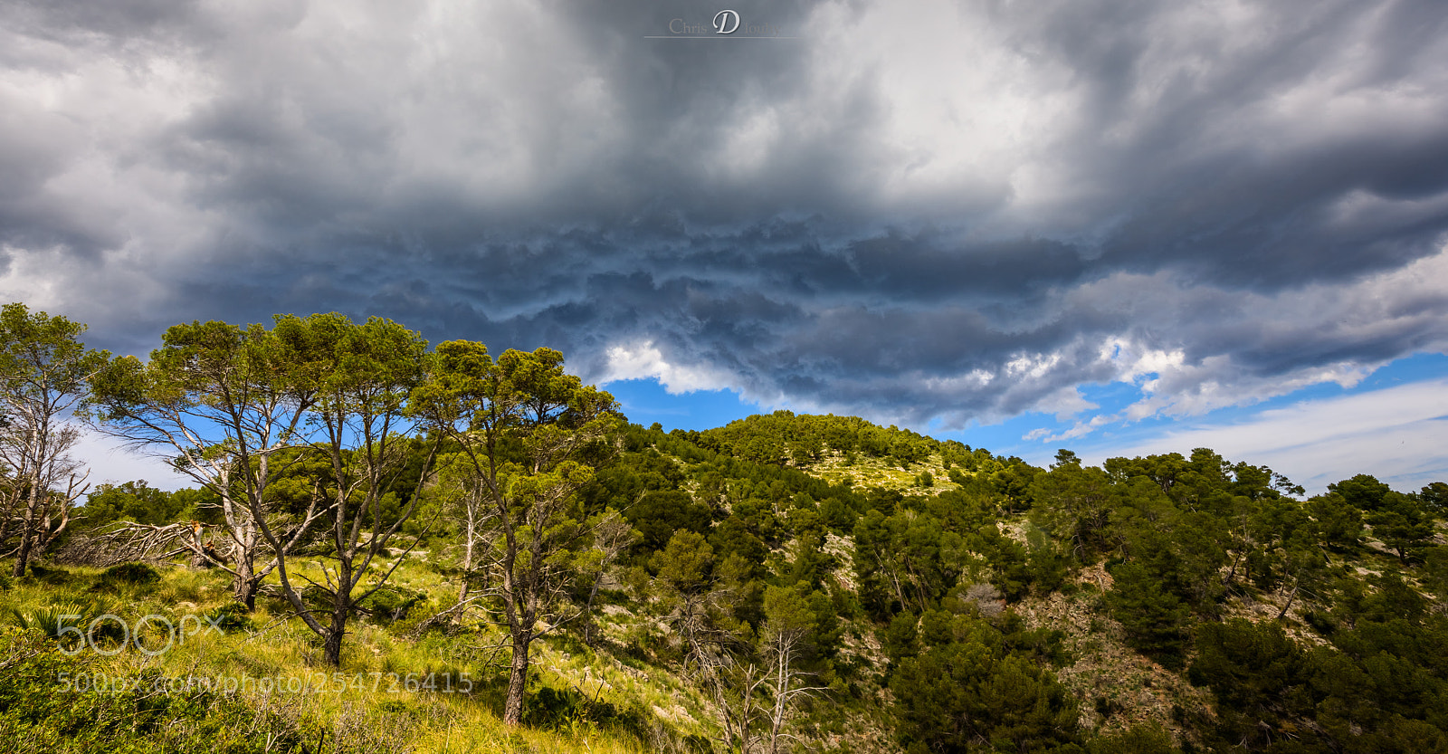 Nikon D810 sample photo. Stormy weather photography
