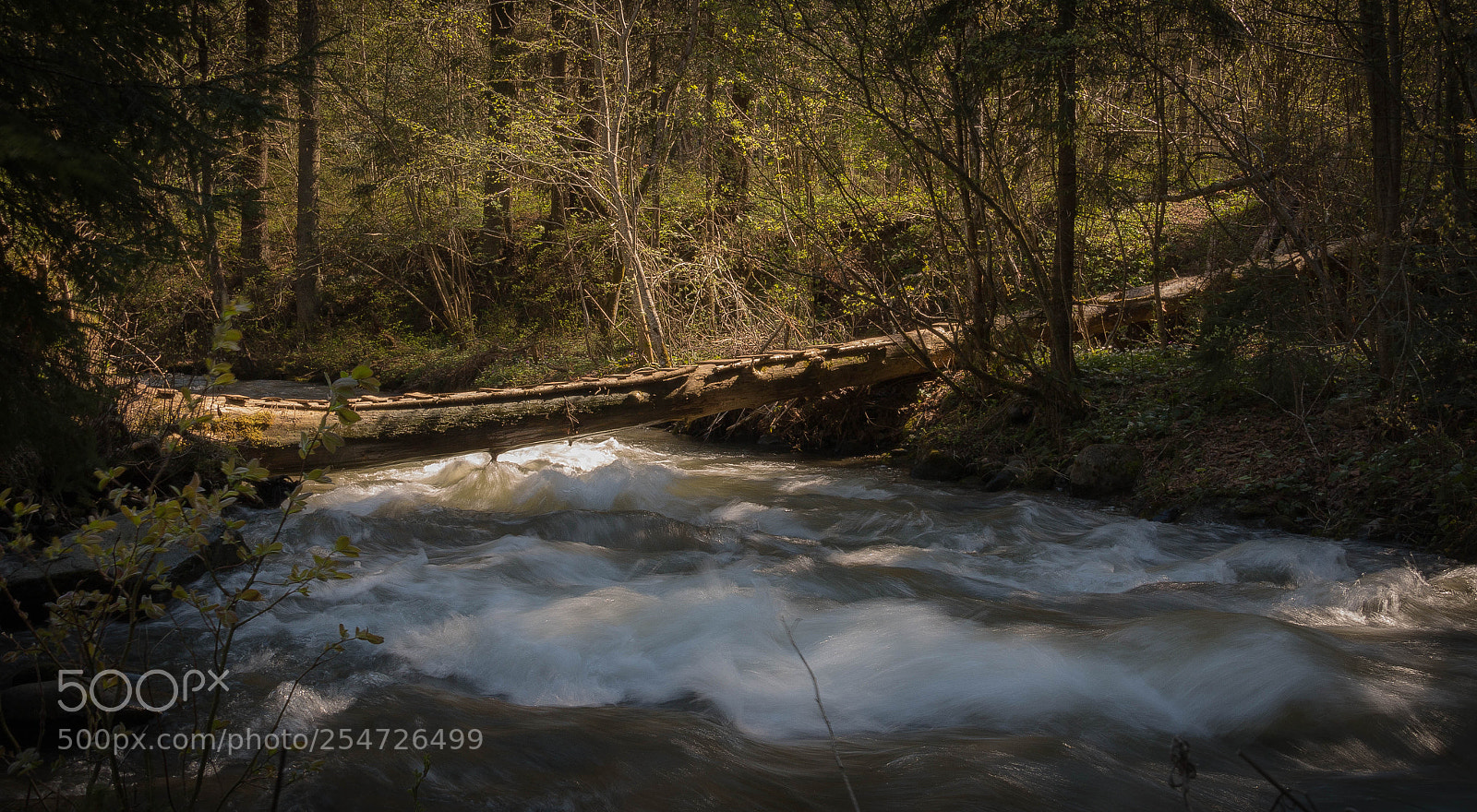 Canon EOS 70D sample photo. #bridge photography