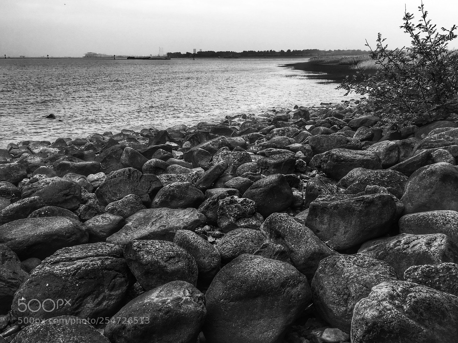 Apple iPhone 6s sample photo. 吴淞炮台湾湿地公园 photography