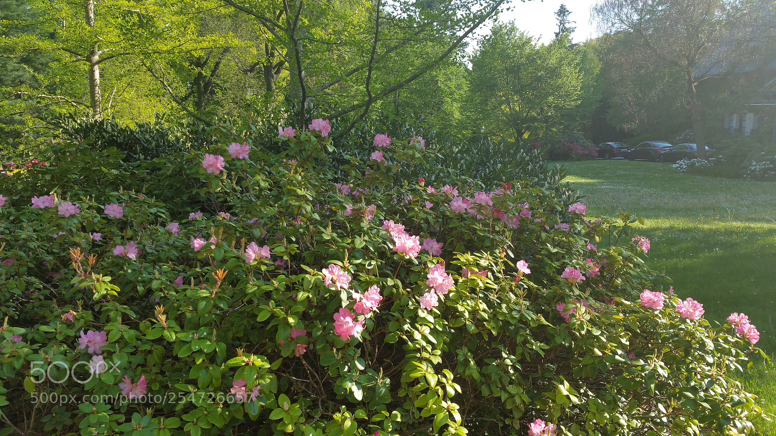 Samsung Galaxy Note5 sample photo. 20160510_173120.jpg photography