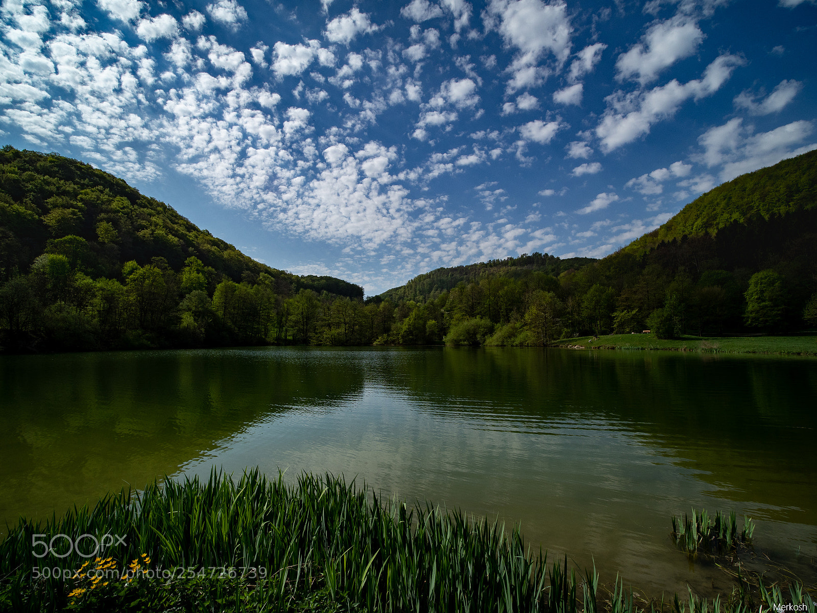 Olympus OM-D E-M1 Mark II sample photo. Goenninger see photography