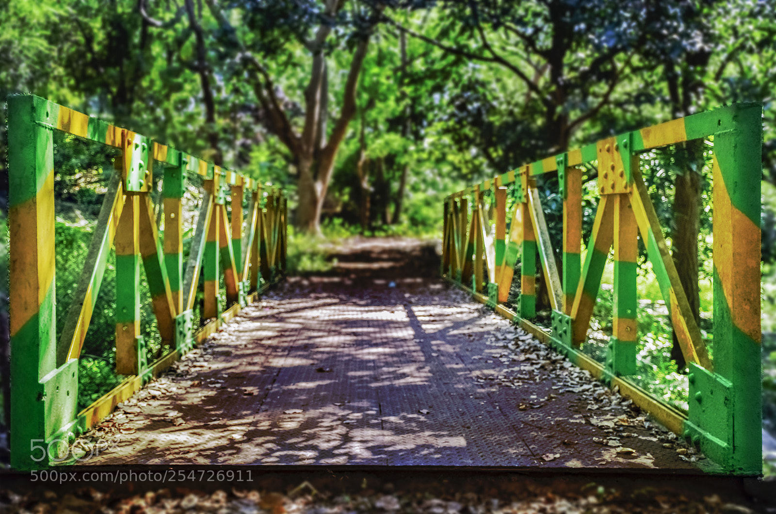 Nikon D5300 sample photo. Bridge green and yellow photography