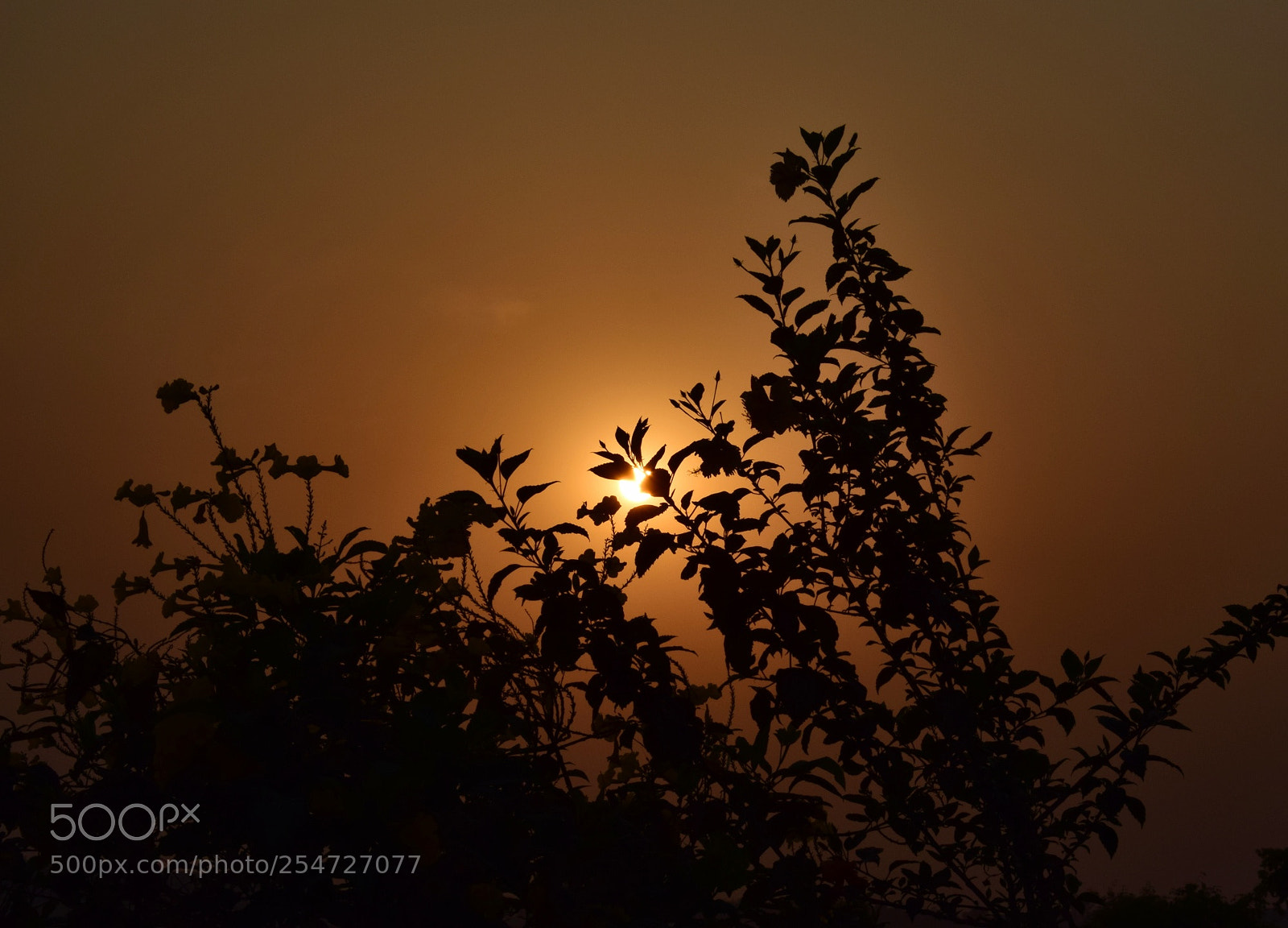 Nikon D3300 sample photo. Towards horizon photography