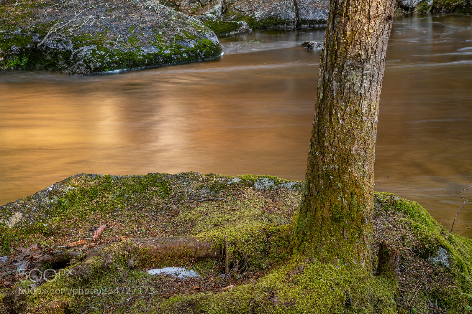 Sony ILCA-77M2 sample photo. Mossy rock, dawn photography