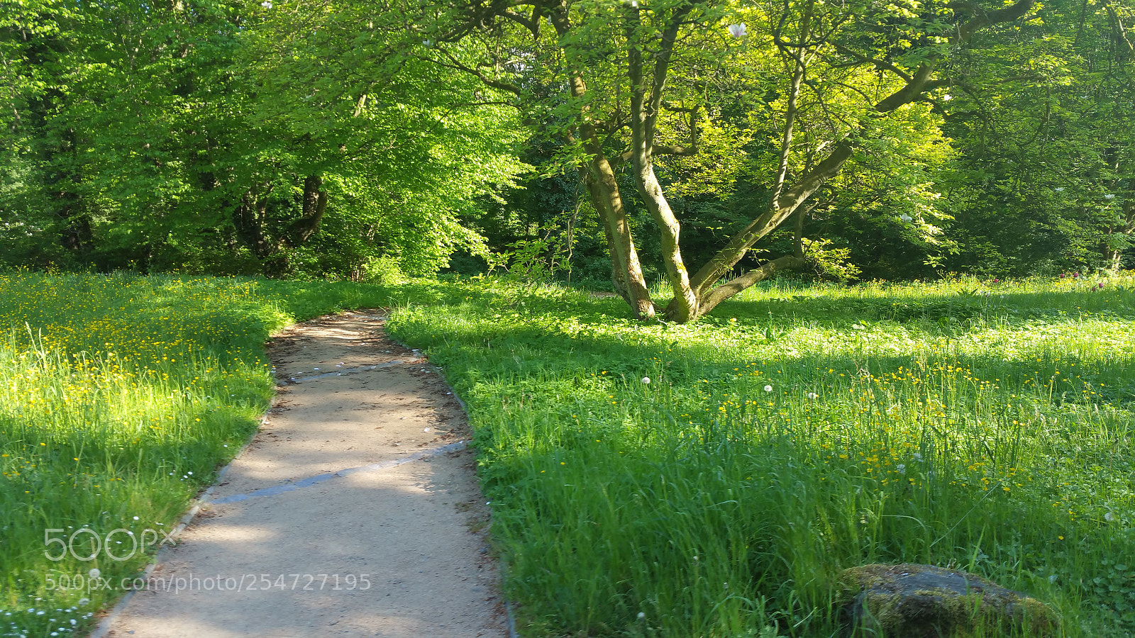 Samsung Galaxy Note5 sample photo. 20160510_173312.jpg photography