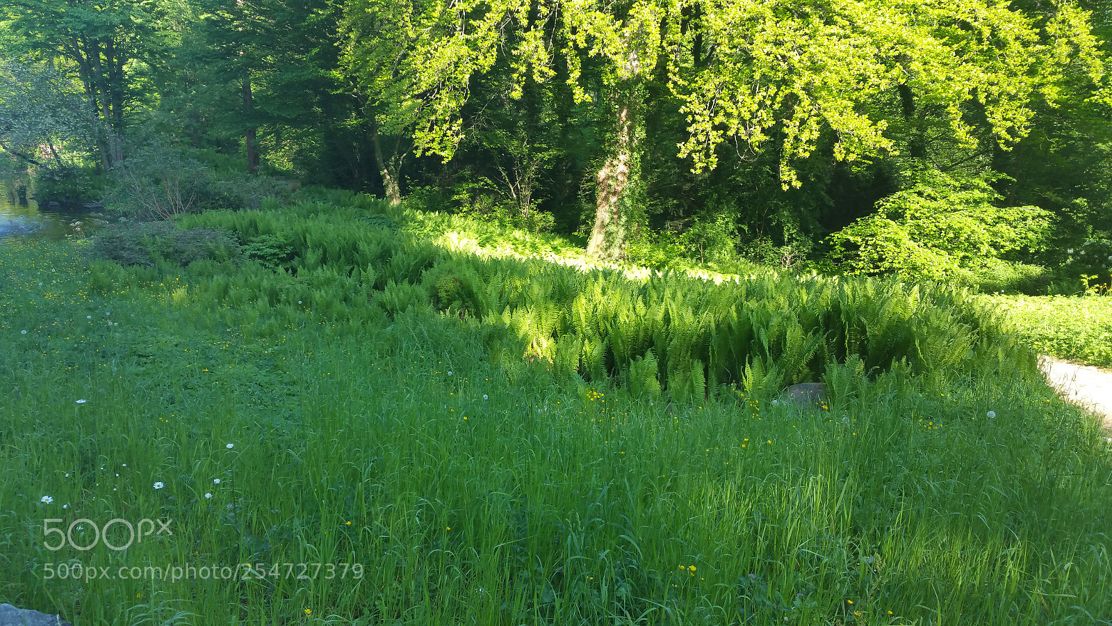 Samsung Galaxy Note5 sample photo. 20160510_173901.jpg photography