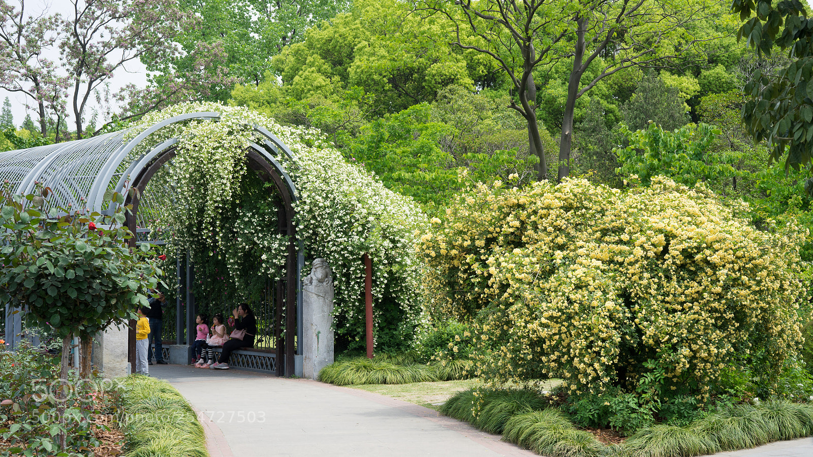Sony a7 sample photo. Spring in april #3 photography