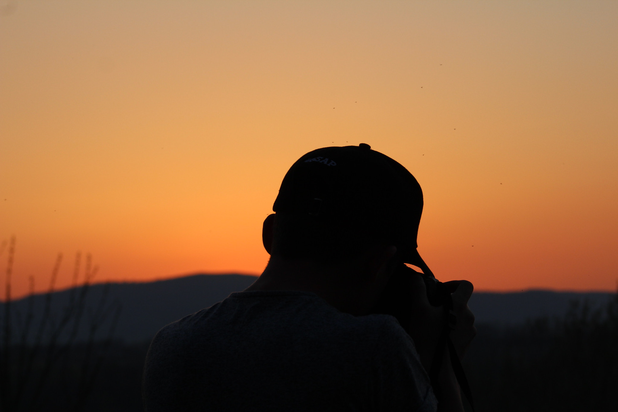 Canon EF 75-300mm f/4-5.6 sample photo. Perspective photography