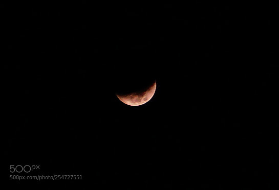 Sony a5100 sample photo. Untitled photography