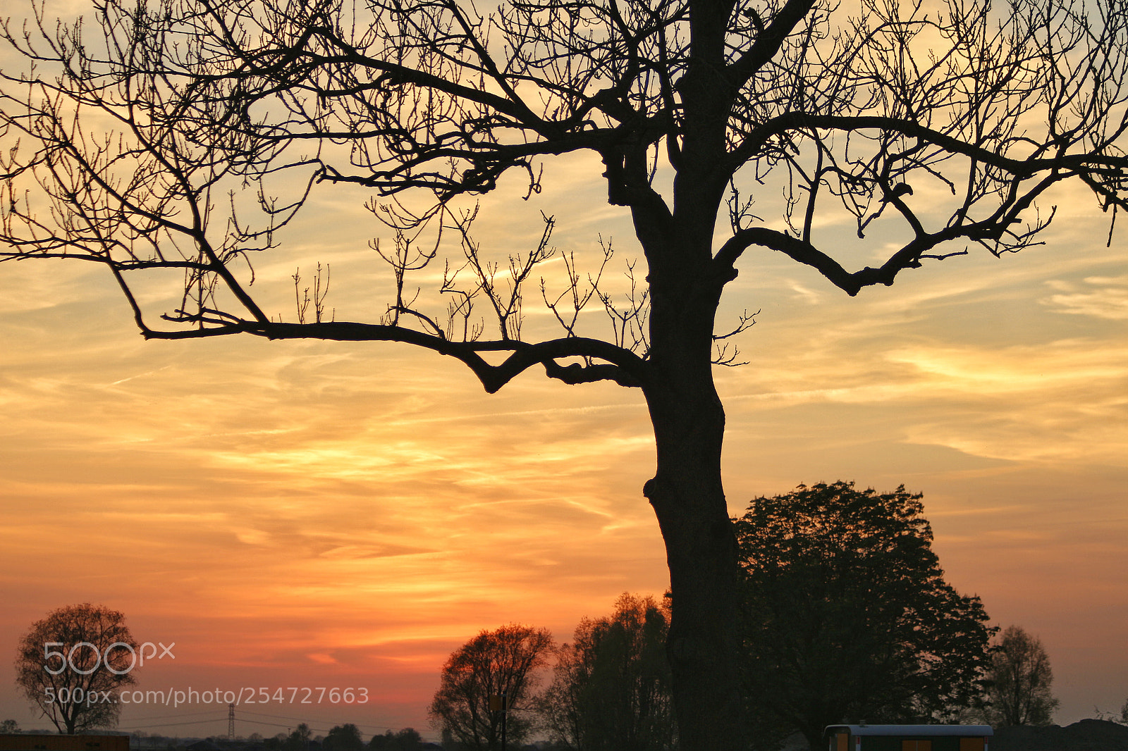 Canon EOS 700D (EOS Rebel T5i / EOS Kiss X7i) sample photo. Tree in sunset photography