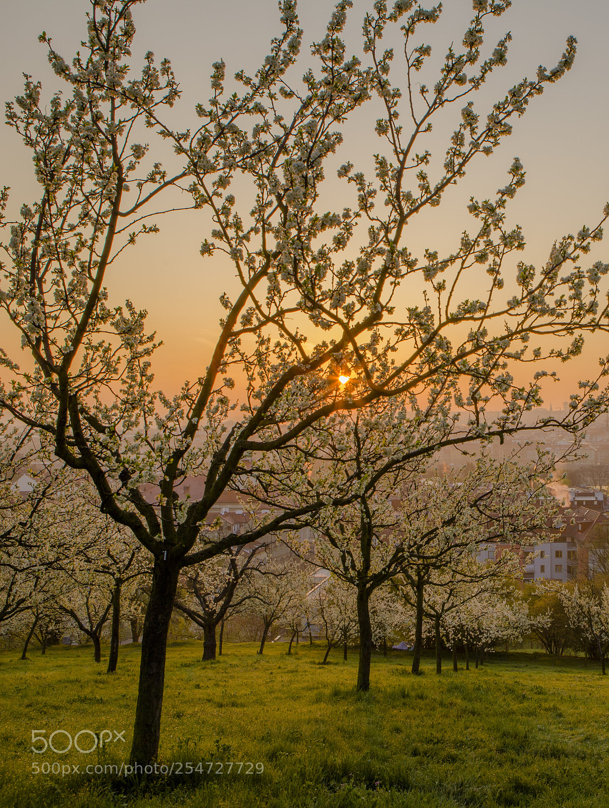 Canon EOS 5D Mark II sample photo. Morning photography