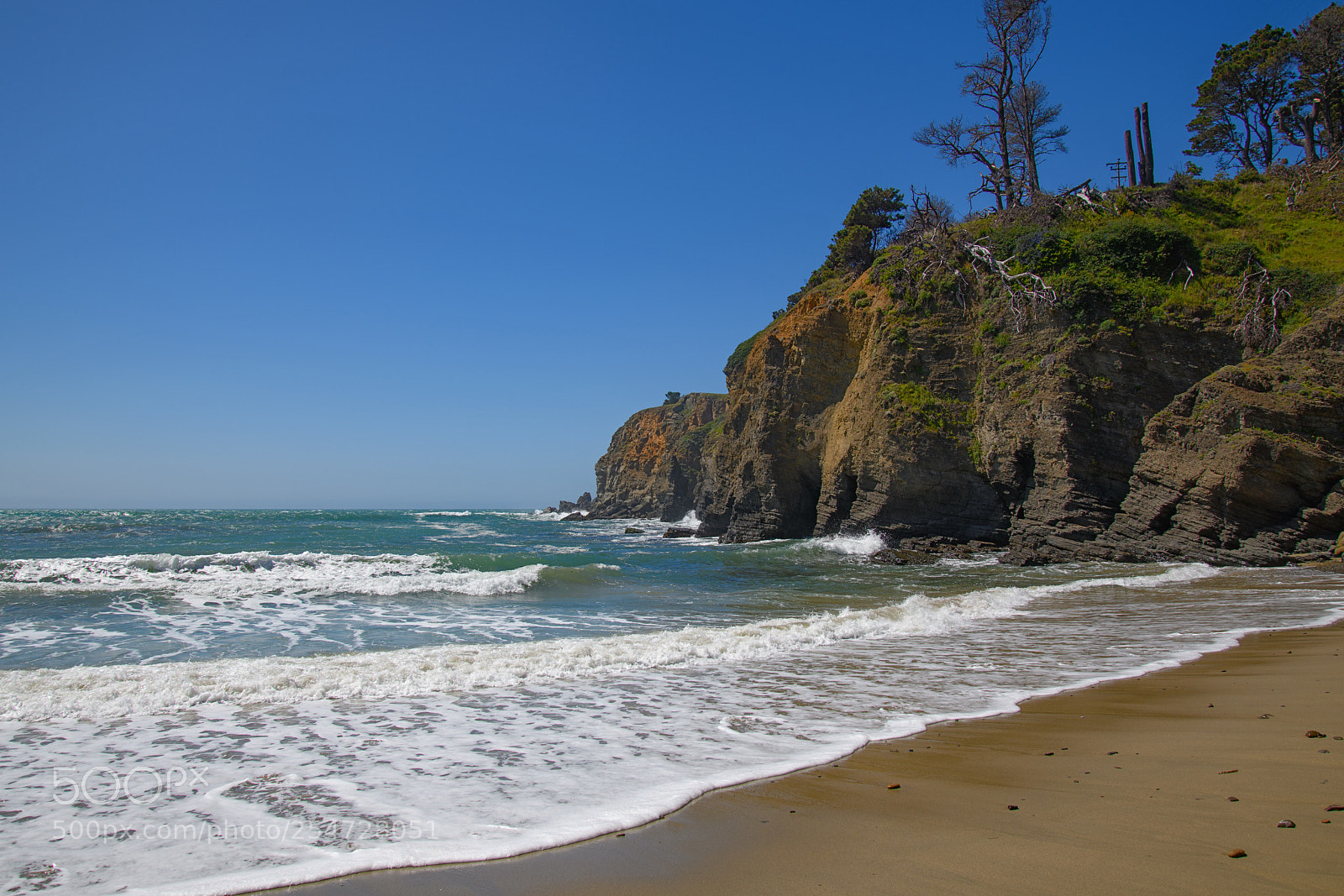 Nikon D850 sample photo. Stump beach photography