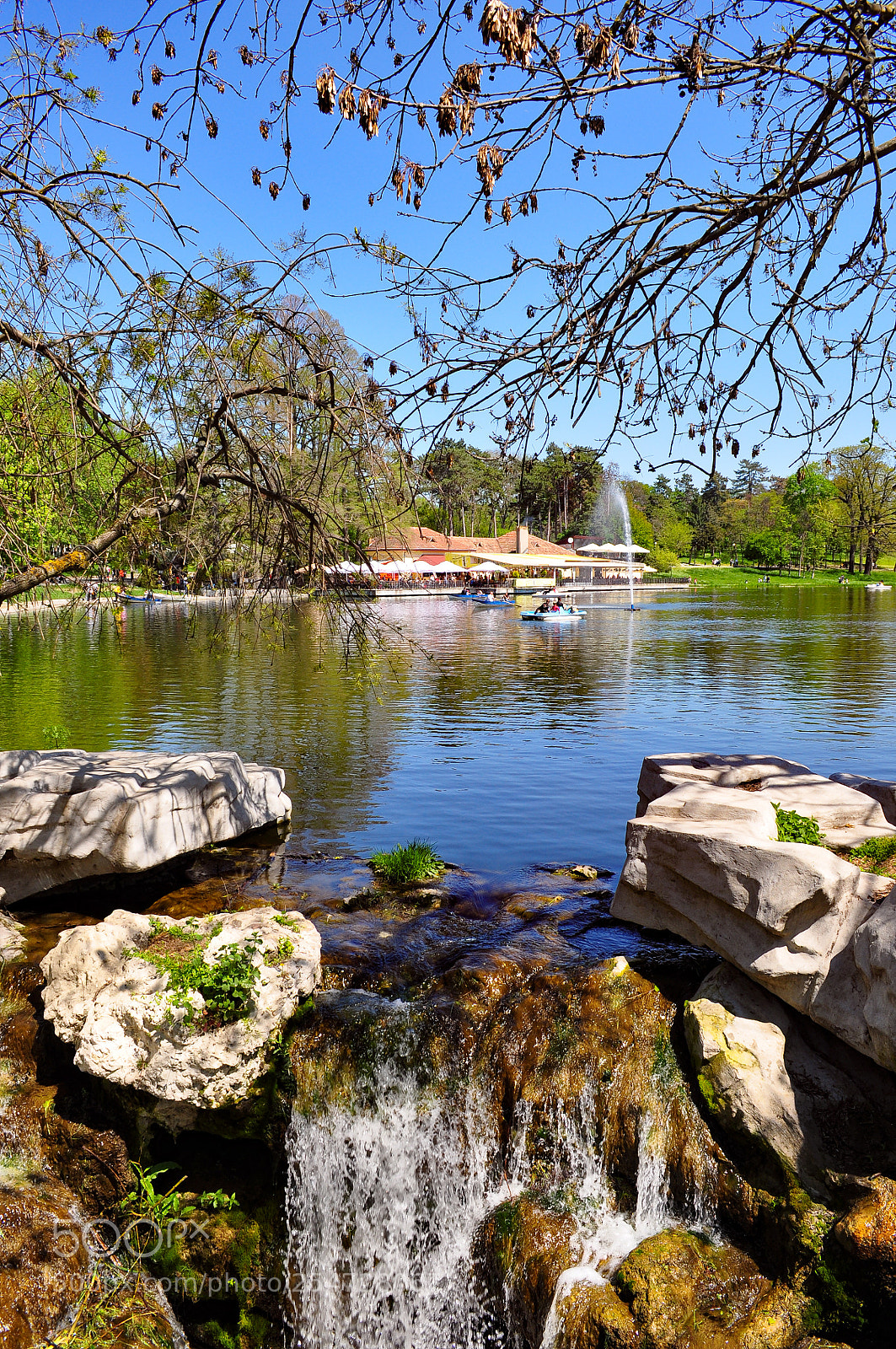 Nikon D90 sample photo. Spring in romanescu park photography