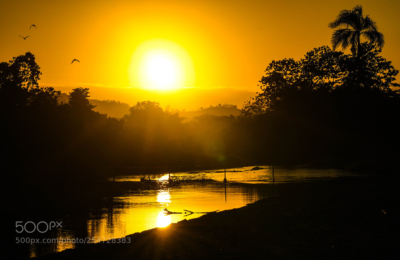 Nikon D5 sample photo. Atardecer photography
