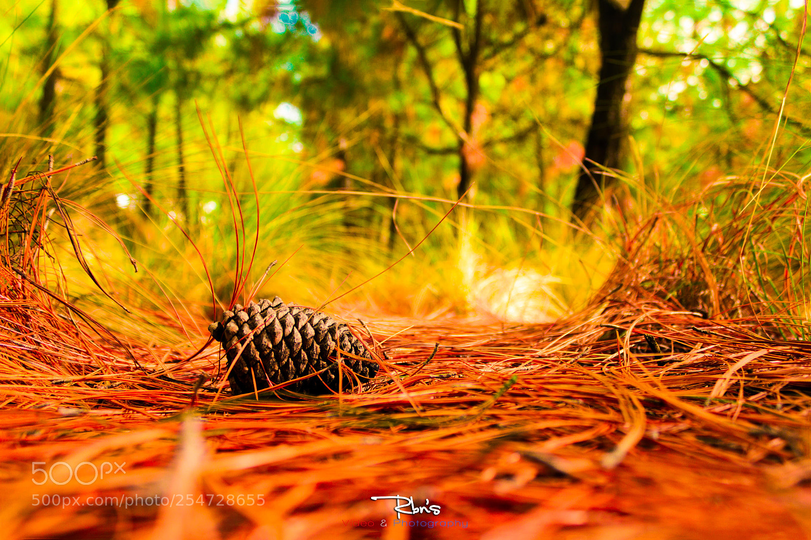 Canon EOS 7D sample photo. Abren su boca como photography