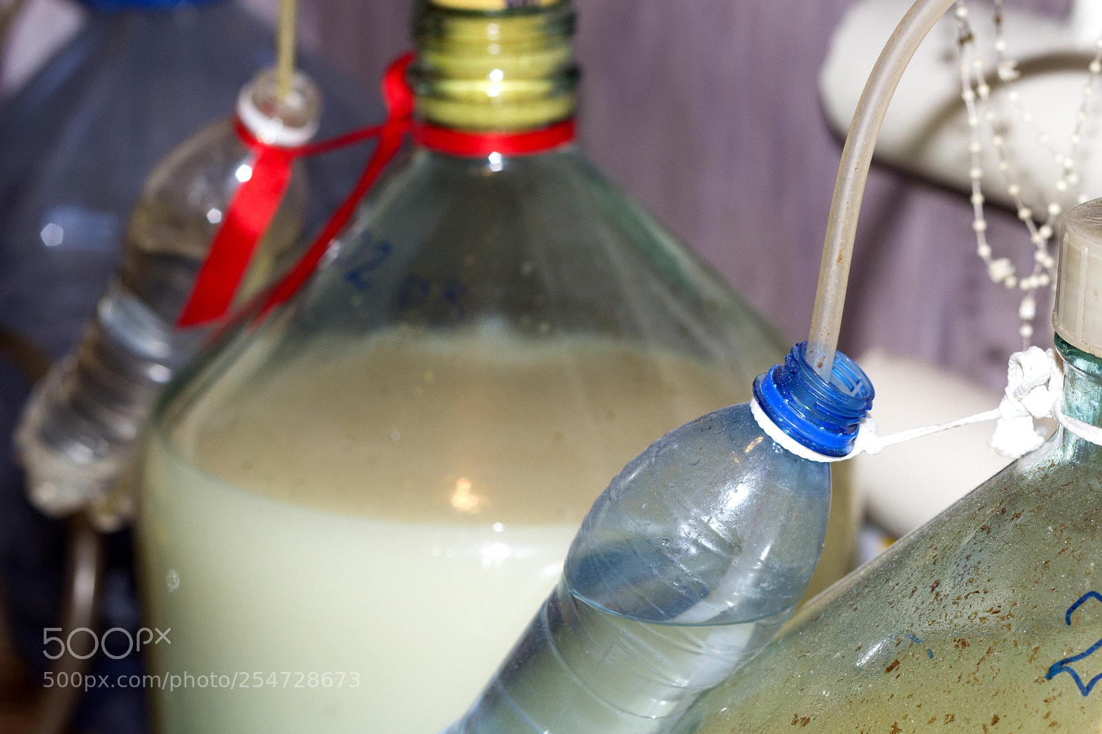 Canon EOS 60D sample photo. Water seal photography